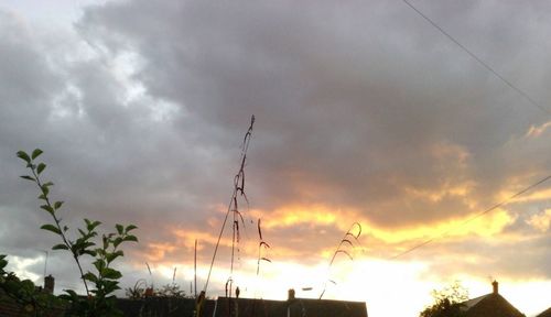 Silhouette of trees against cloudy sky