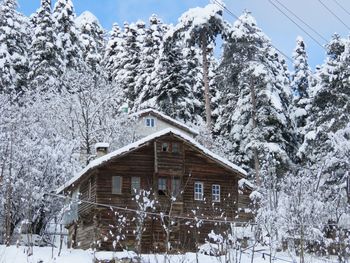 Snow covered trees by building against sky