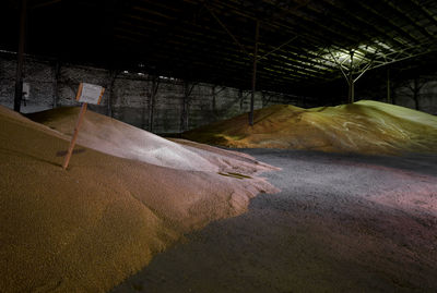Heap of wheat in barn