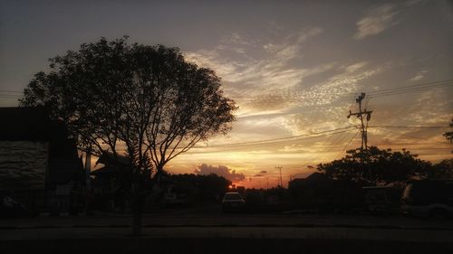 Silhouette trees against sky during sunset