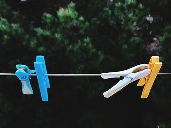 Close-up of clothes drying on clothesline