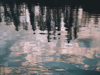 Reflection of tree in water