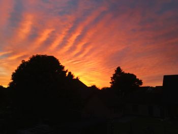 Silhouette trees against sky at sunset