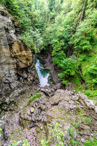 Stream flowing through rocks in forest