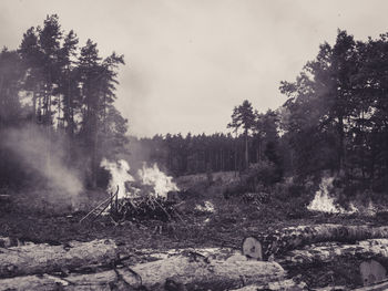 View of landscape with trees