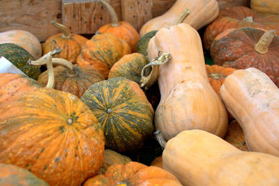 Close-up of pumpkins for sale