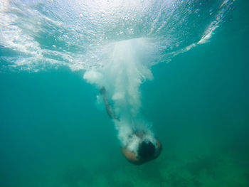 Man swimming in sea