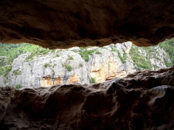 Close-up of cave