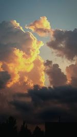 Low angle view of silhouette trees against sky