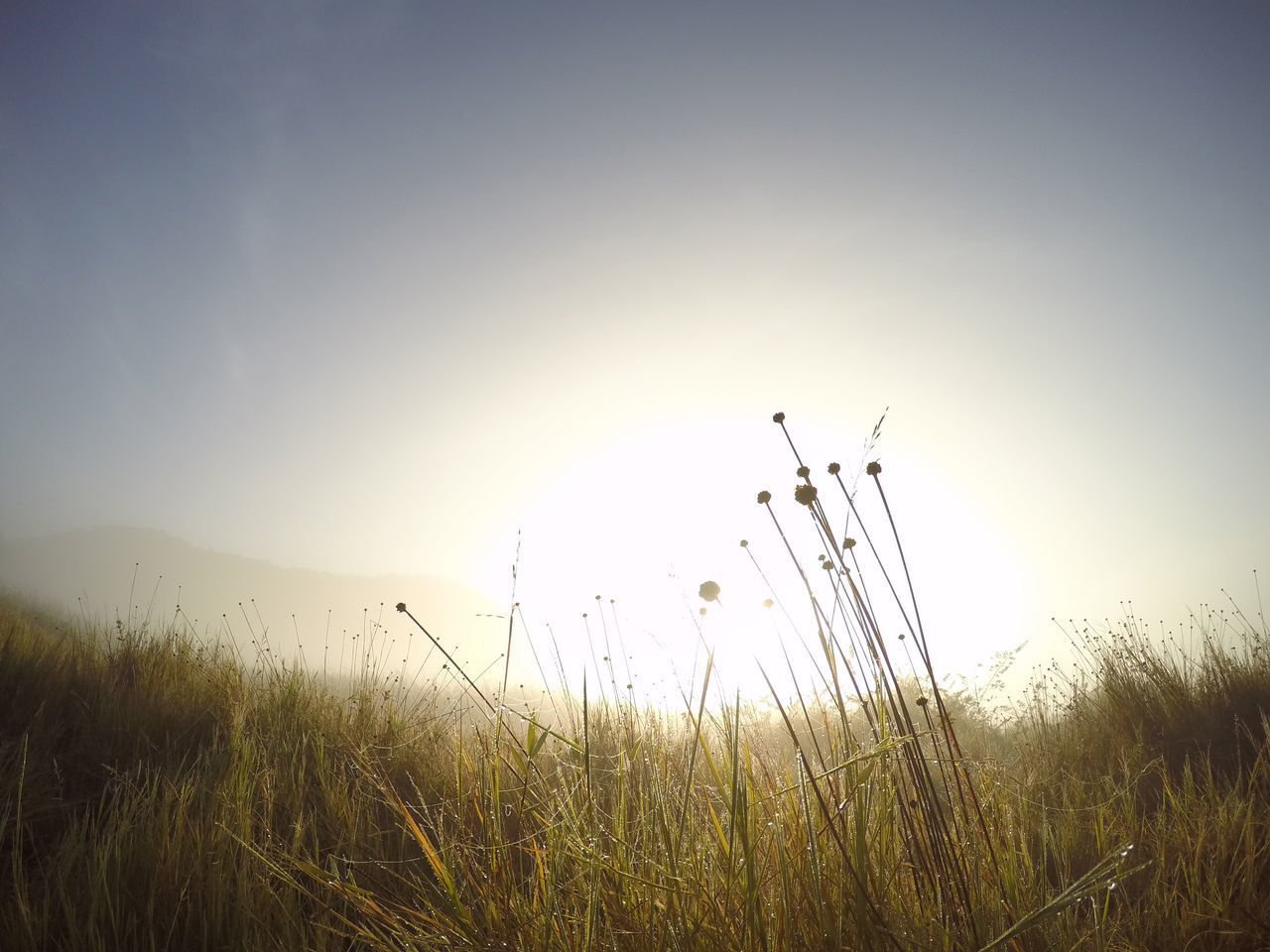 SCENIC VIEW OF LANDSCAPE AGAINST CLEAR SKY