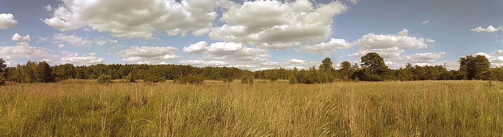 Scenic view of field against cloudy sky