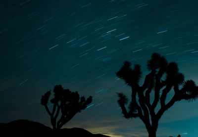 Low angle view of silhouette tree against sky at night