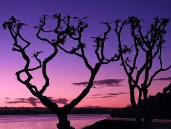 Silhouette tree by lake against sky during sunset