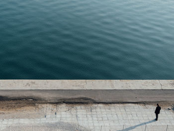 High angle view of man swimming on shore