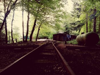 Railroad tracks in forest