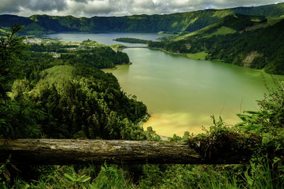 Scenic view of lake and trees against sky