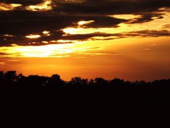 Silhouette trees against dramatic sky during sunset