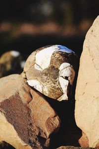 Close-up of rock