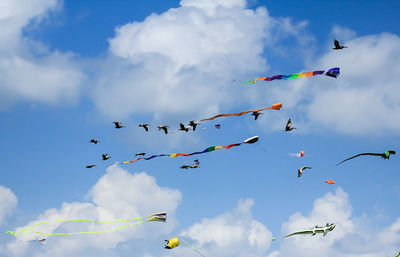 Low angle view of flying in sky