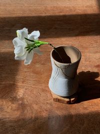 High angle view of white rose on table