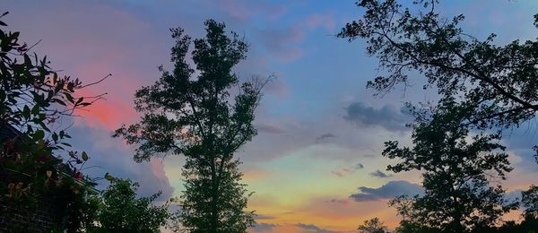 Low angle view of silhouette trees against sky at sunset