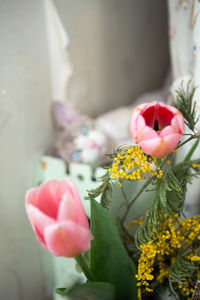 Close-up of flowers blooming outdoors