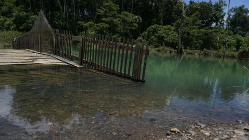 Scenic view of lake in forest