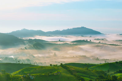 Scenic view of landscape against sky