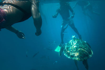 Men feeding fish while snorkeling undersea