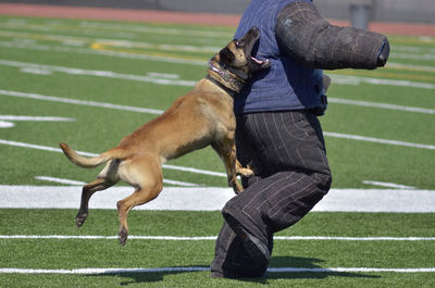 Low section of man with dog