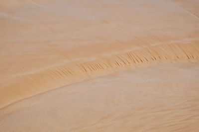 Full frame shot of sand dune