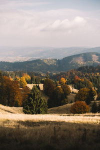 Scenic view of landscape against sky during autumn