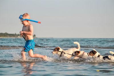 Side view of shirtless boy running with dogs in sea