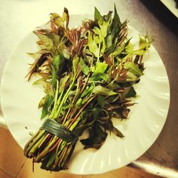 High angle view of vegetables in plate on table