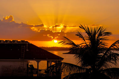 Silhouette palm trees by swimming pool against romantic sky at sunset
