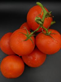 Close-up of wet tomatoes