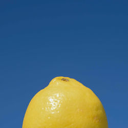 Close-up of fruit against blue background