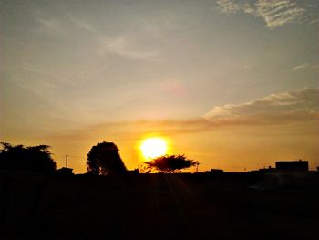 Silhouette trees against sky during sunset