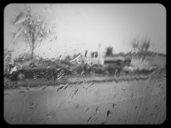 Raindrops on glass window