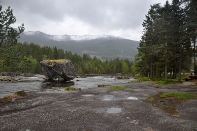 Scenic view of trees and mountains against sky