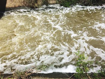 High angle view of wave in water