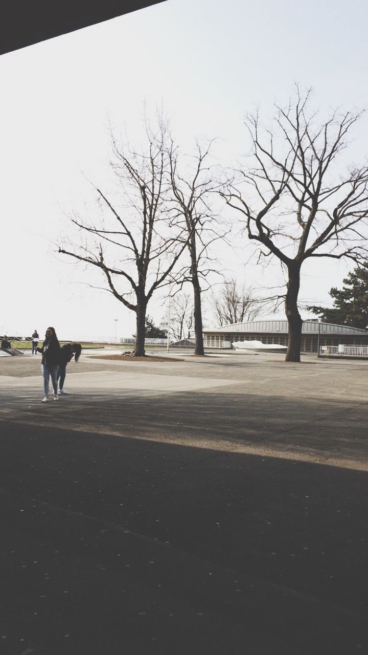 bare tree, tree, full length, walking, men, lifestyles, rear view, the way forward, silhouette, leisure activity, road, street, person, branch, transportation, sky, clear sky