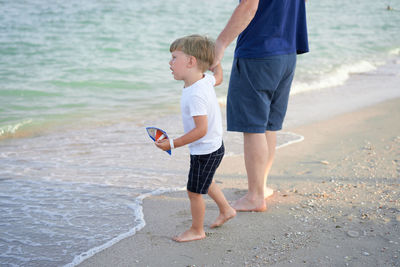Rear view of father and son on beach