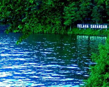 Scenic view of lake with trees in background