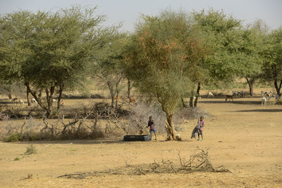 People relaxing on field against trees