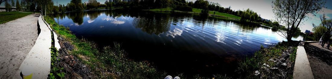 Panoramic shot of grass by trees against sky