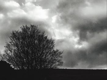 Low angle view of bare tree against sky