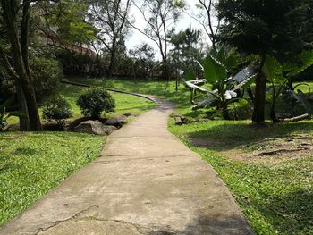 Walkway amidst trees on landscape