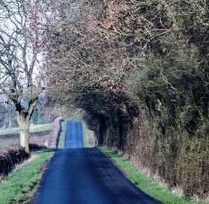 Road passing through trees