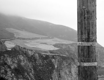 Close-up of tree trunk against mountain